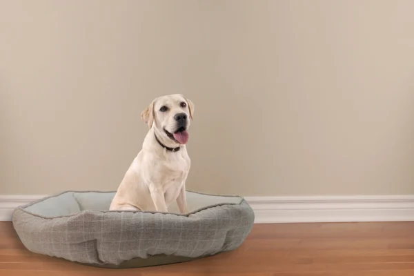 Rex - Polly Pet Bed - Image 2